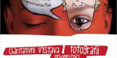 výstavy a vernisáže, Helena Kadlčíková