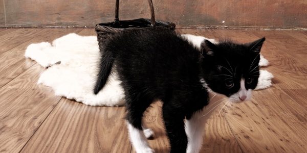 portrétní fotografie, fotoatelier, exterier, Praha, Prostějov, Olomouc