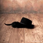 portrétní fotografie, fotoatelier, exterier, Praha, Prostějov, Olomouc