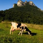 cestovatelksé fotografie