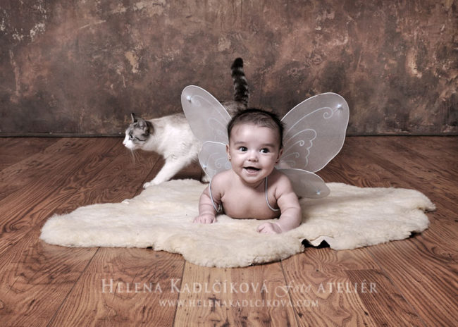 rodinné fotografie, ateliér, exteriér, prostějov, praha, olomouc