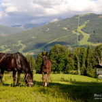 cestovatelské fotografie