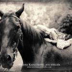 rodinné fotografie, ateliér, exteriér, prostějov, praha, olomouc