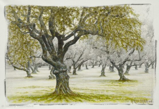 kolorované fotografie