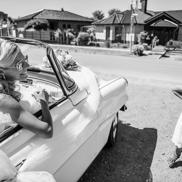 svatební fotografie