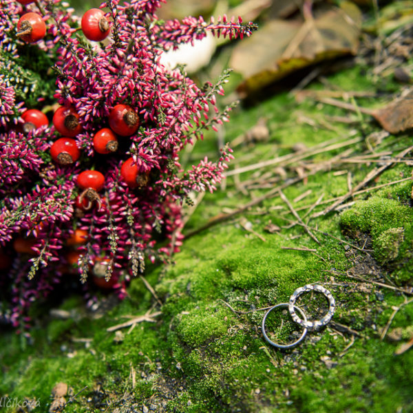 svatební fotografie