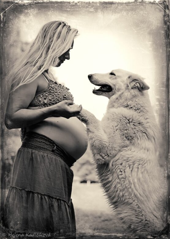 těhotenské portréty a akty