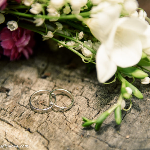 svatebni fotografie